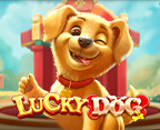 Lucky Dog